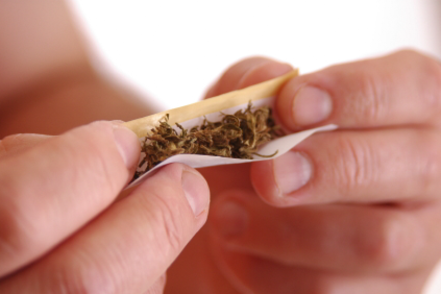 cannabis