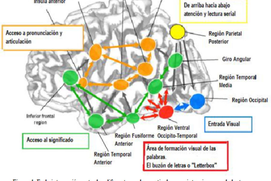 figura-1
