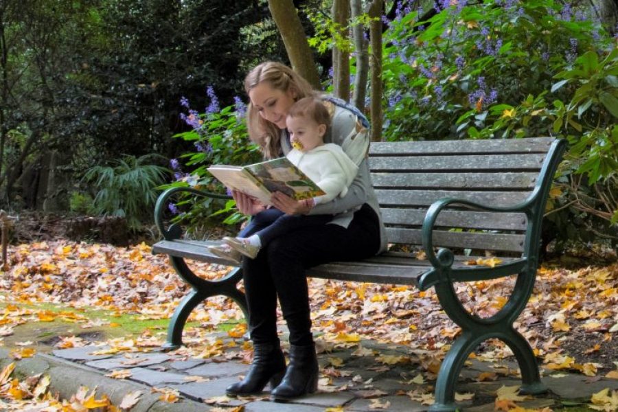 lectura